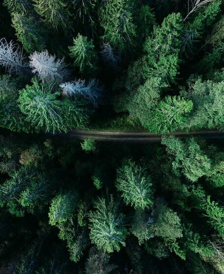 Photo by Geran de Klerk