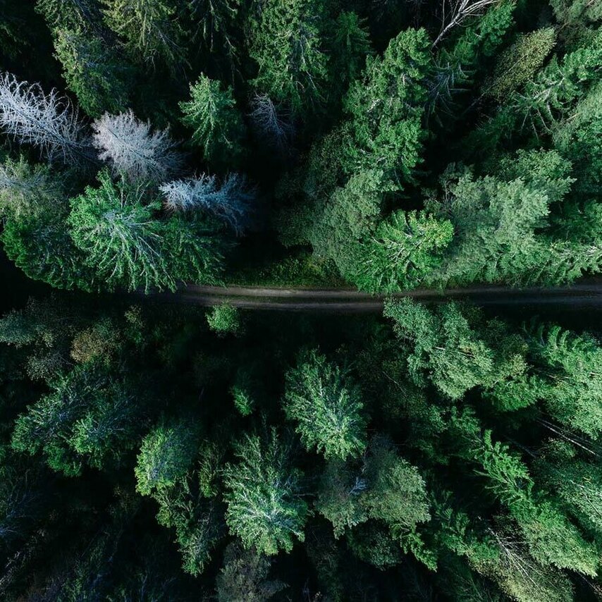 Photo by Geran de Klerk